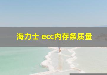 海力士 ecc内存条质量